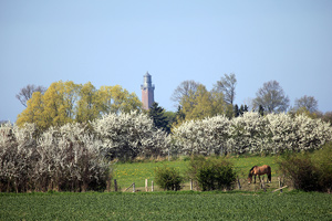 Ferienhaus Hortensie